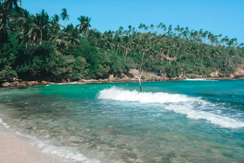 Mirissa destination inspiration